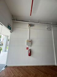 Sycamore Tree (D15), Retail #486529941